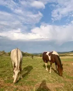 Blacksmith rehearsal