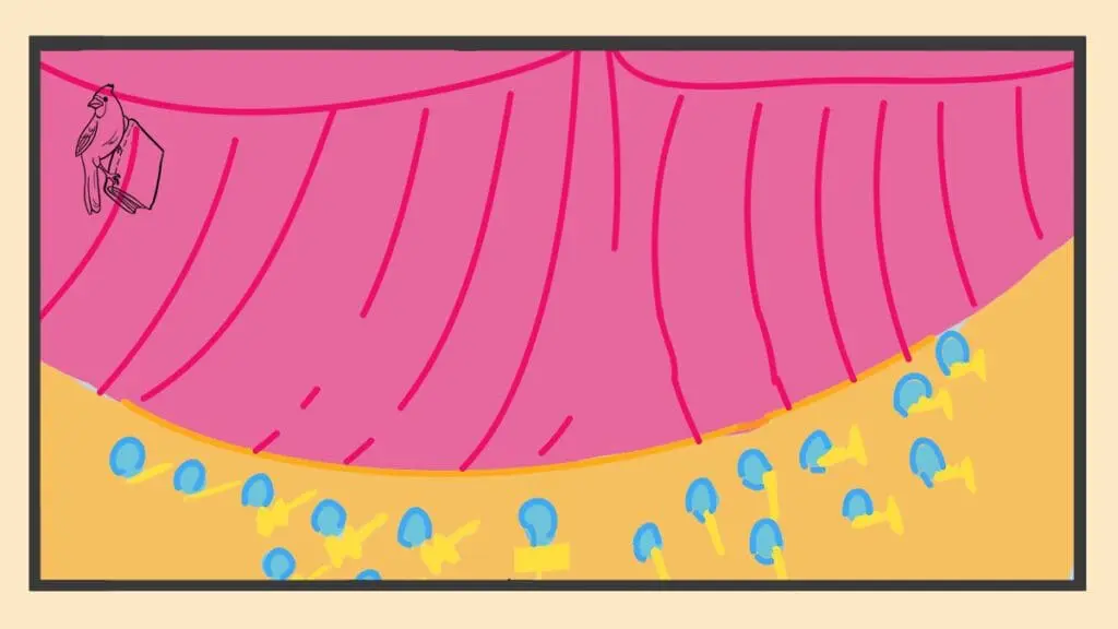 Stage Ready Cardinal Diaries