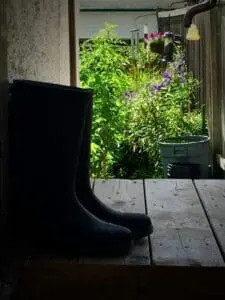 Photo Lara Ciekiewicz