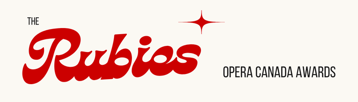 700x200 Big Logo
