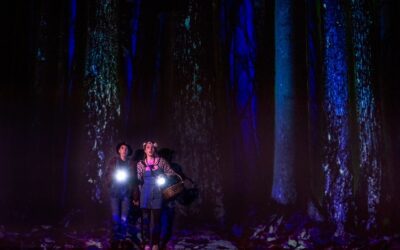 Manitoba Underground Opera Hansel and Gretel “Stirred the soul as a heartfelt testament to the power of family”