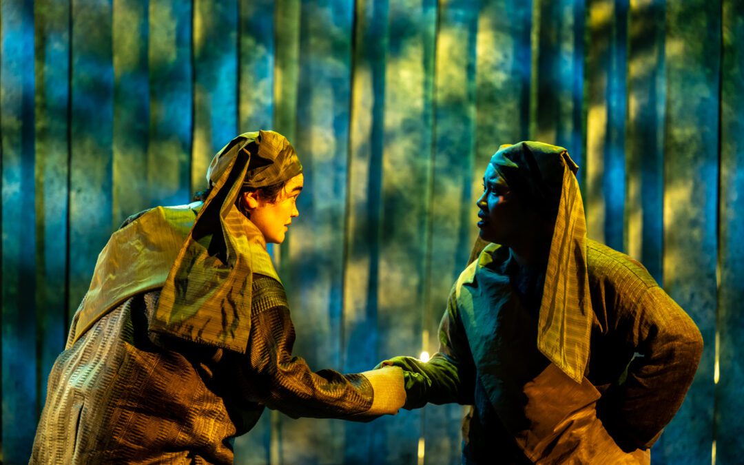 Tapestry Opera Sanctuary Song  “A Contemporary piece that is emotionally poignant but not weighed down”