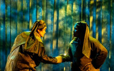 Tapestry Opera Sanctuary Song  “A Contemporary piece that is emotionally poignant but not weighed down”